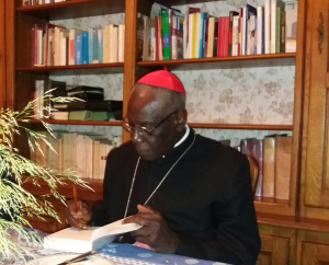 A11 Cardinal Sarah .jpg